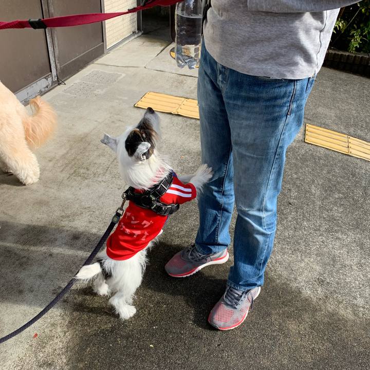 4598bfa1 1c43 425f abcc c0e03fc2ac2d 1669768353387