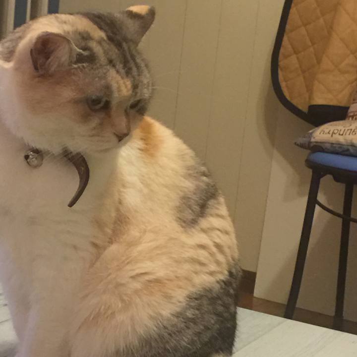 4599119c 01d7 4d7b 9817 02102beb1792 1553010069626