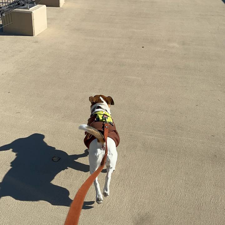 45991442 7cb8 46c4 a382 461ca93eb8d5 1737896832488