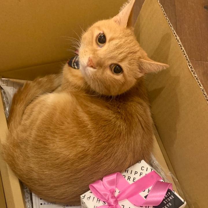 459919d1 3a70 4123 b994 7e4f45b63b0d 1613736240328