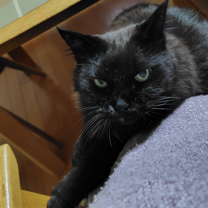 45999ca4 9671 4e1f afb1 9719f73363b1 1741519456678