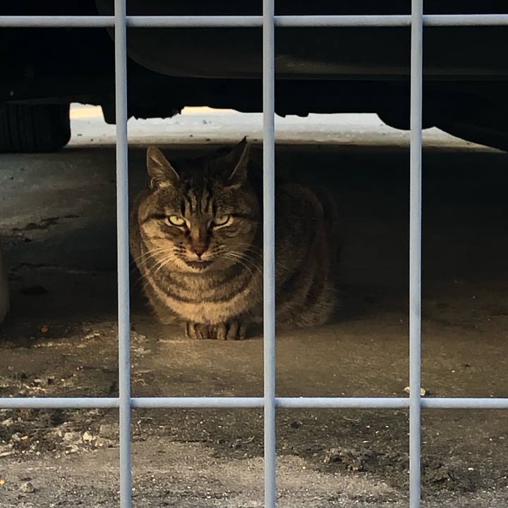 4599a123 dc90 4129 a709 4adaeb980fdb 1547195019465