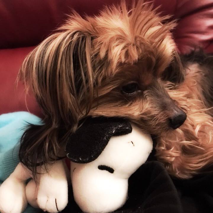 4599c028 2b56 475b ade8 12e7bdc305c5 1513838731951