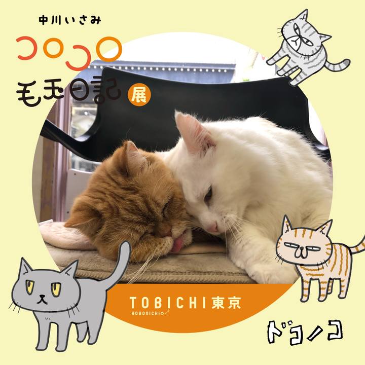 4599f411 b73c 4712 ad5b 213a68f90501 1740201618571