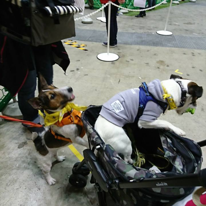 4599fc7d 39c3 4f79 afeb 4f7b67cfc565 1522570144508