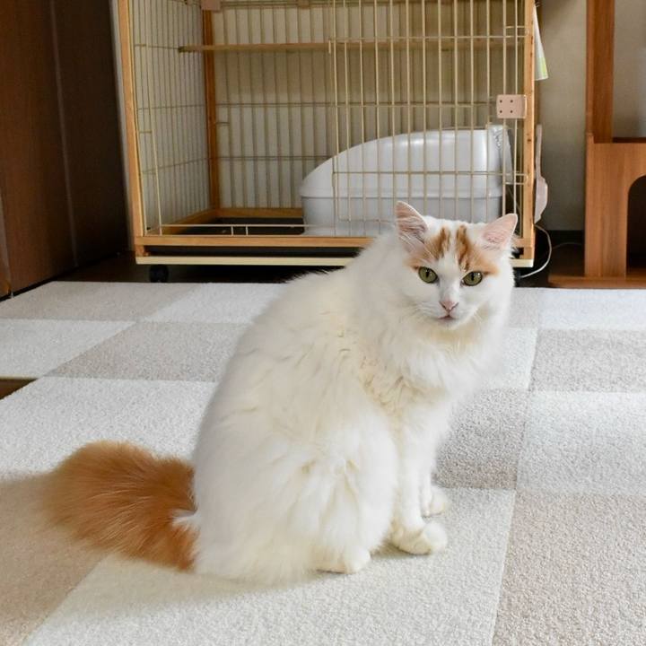 459a0f29 c298 4f7e 97b7 9ef2d59f9c4d 1765251201540