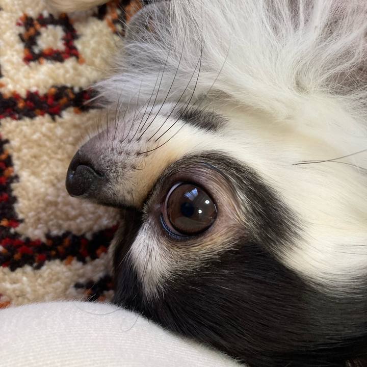 459a1e5b 4d62 4a28 ade1 50494d81be06 1677983389973