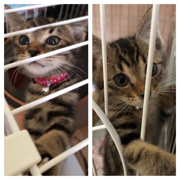 459a268a f3ef 41ff bc57 3f022b5aace0 1724311541144