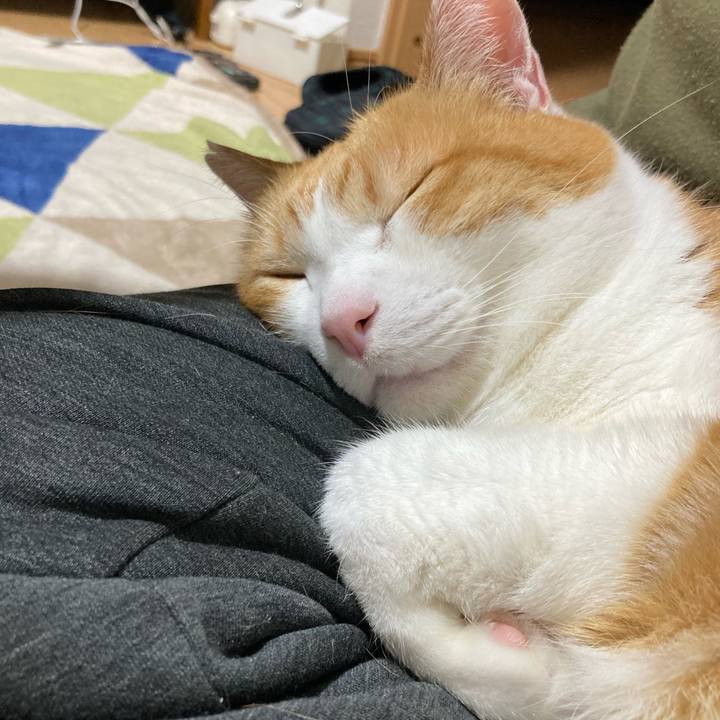 459a56b8 4760 4e36 8802 733d28b57248 1767096717639