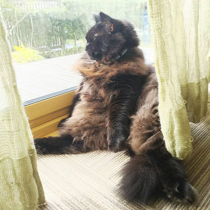 459a675e b7c6 4d44 83ef 648aa98794d1 1540251479650