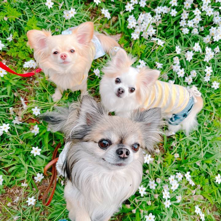 459aadab 7590 4c0f ad2f 316a0ec3957f 1649726804338