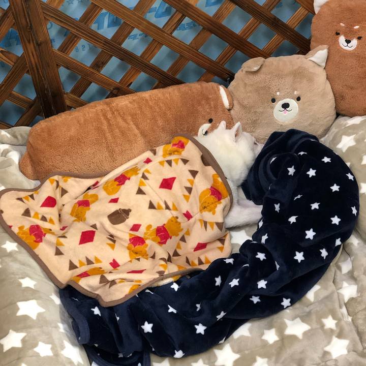 459ab3ee dce6 4f26 aeae 684a4d7b6c7c 1641824391852