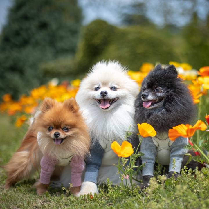 459ae8d9 905a 4b41 ad76 3a1225557fc2 1621468766202