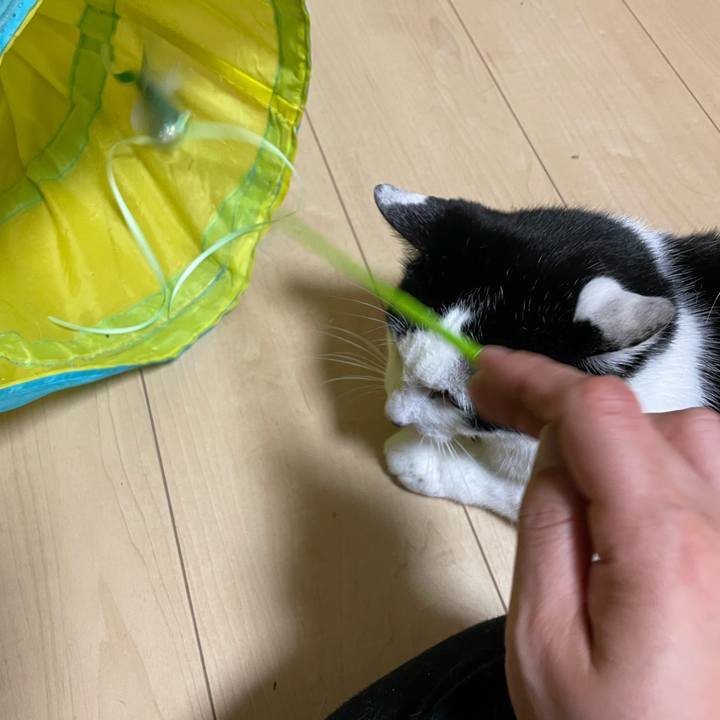 459aeb9f d384 4a41 a05d 086f555670c2 1652364553335