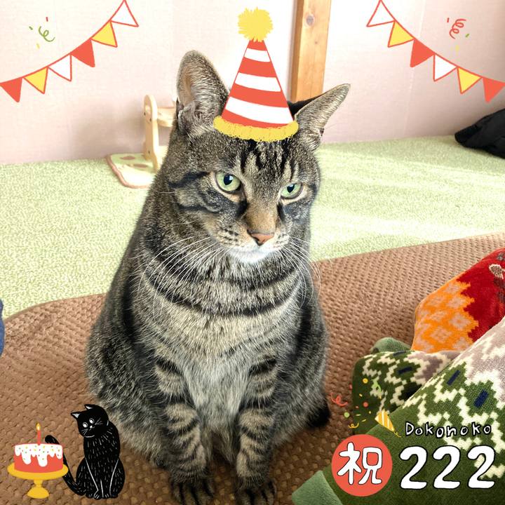 459afb7d 1e8f 4093 adab 23ac9e1cbc7e 1645508014487