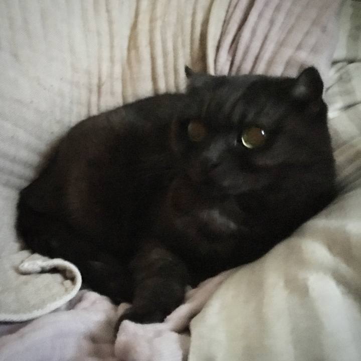 459b0b83 d41b 4cf2 9831 162c2e67fc29 1547784402669