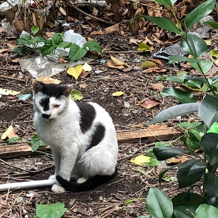 459b0cb7 7bb6 402f 97ae 1b608843bde1 1525314498842