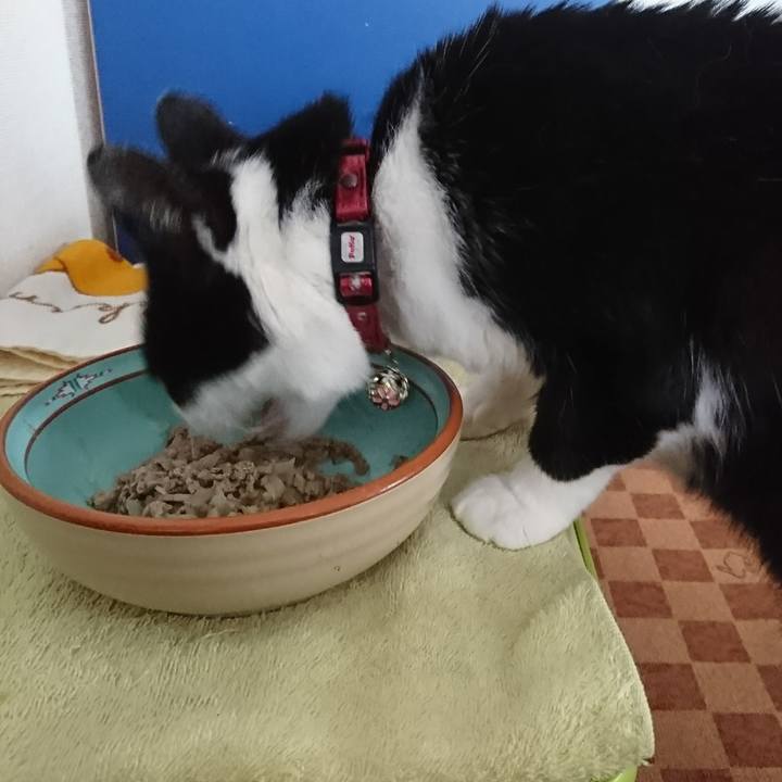 459b37db 4d3a 4c3c 82a8 794ba022b19d 1596540442245