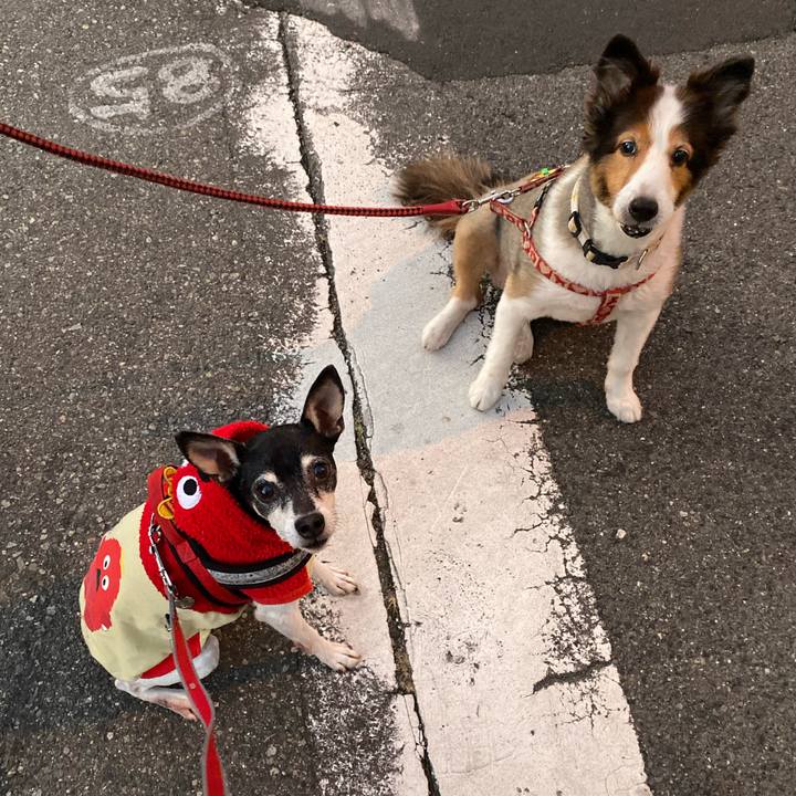 459b8ebd 3b46 4de6 afcb 82b8bdecd7c8 1574979704530