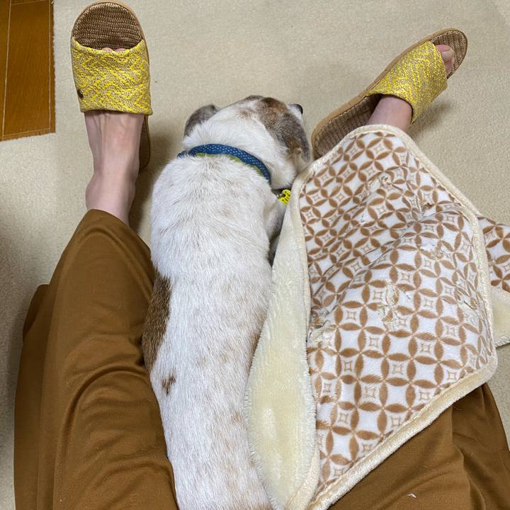 459bd4fd 7ad8 473d 9d8a 81155f6513e2 1669161332075