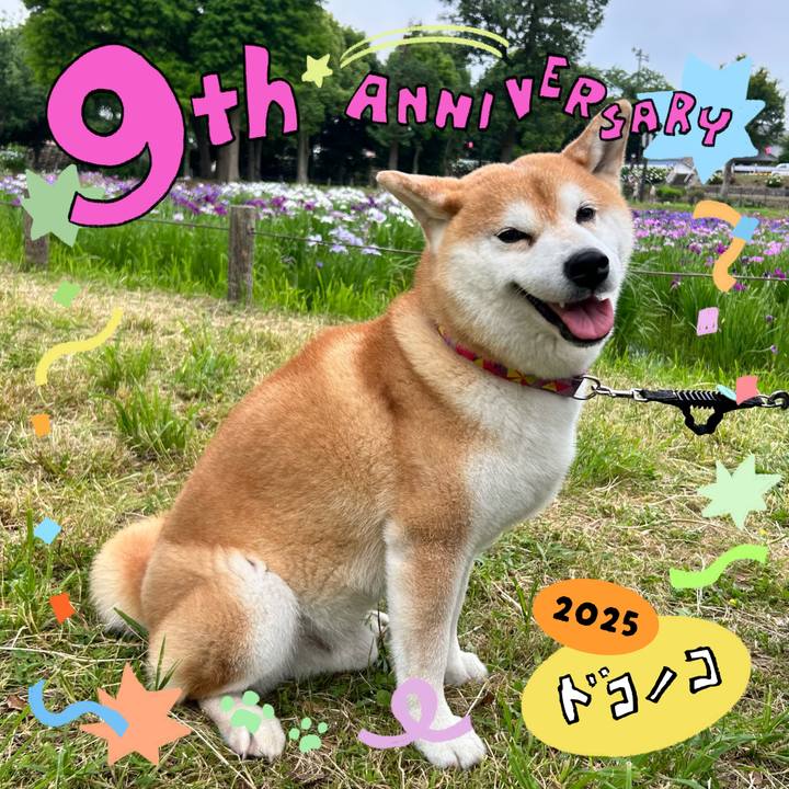 459bf8a8 7023 4a19 be21 0d51e6d673a3 1749383322043