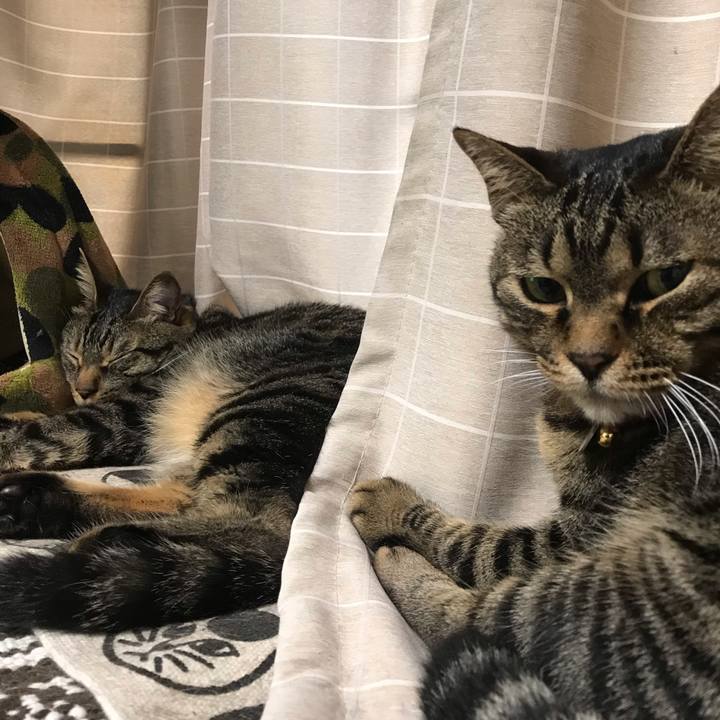 459c1f36 7bd3 4371 b621 8fbc1e281725 1589134869245