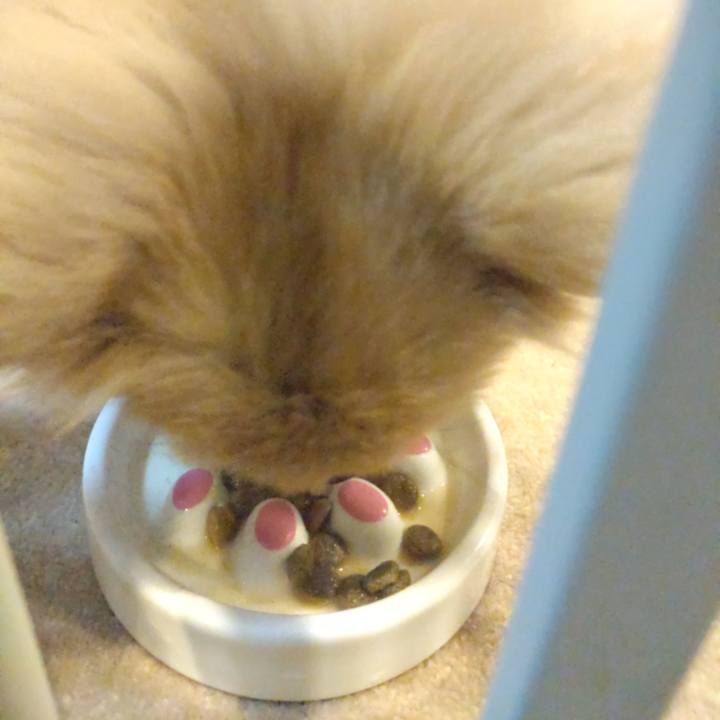 459c2d68 c2e2 4cbd afb4 3b86ce2cb4f9 1736156435023