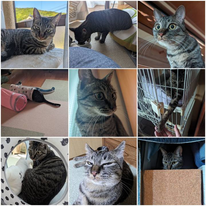 459c60c1 0ed9 4aed 9c0c ffd7e52acff7 1719300565675