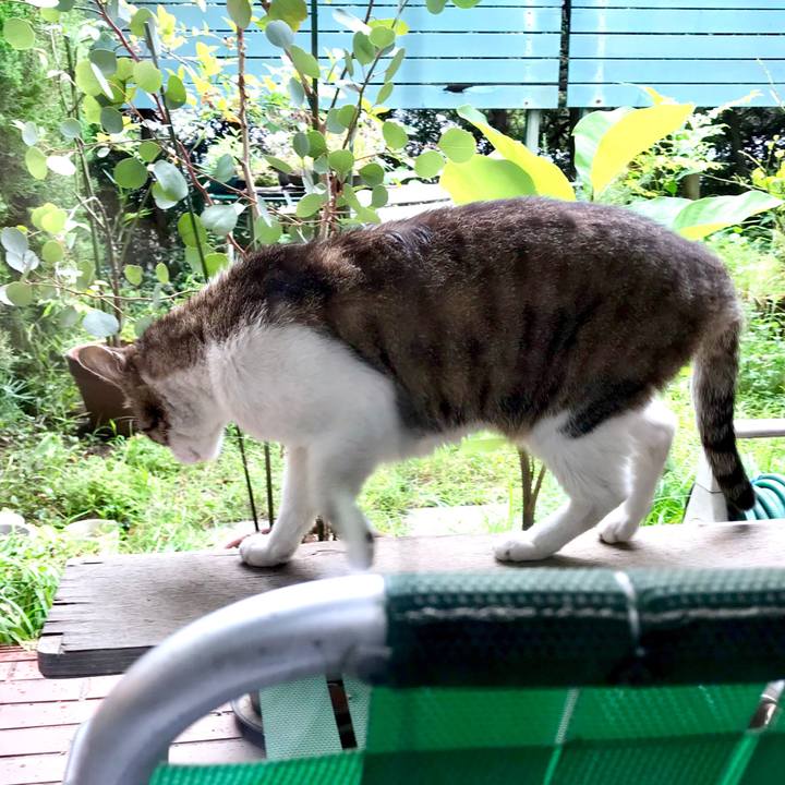 459c89ca 717e 4095 9880 ee52c74b5647 1529736813818