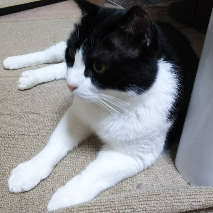 459cbe9d 110d 4293 8b84 271bc73d3087 1531257709666