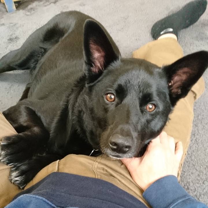 459cc4a9 5e12 4d34 830e edc037c39b6f 1556849067395