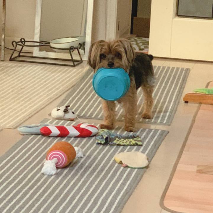 459cd8c8 66b6 499f b9de 0ba10f0b21c9 1599778386795