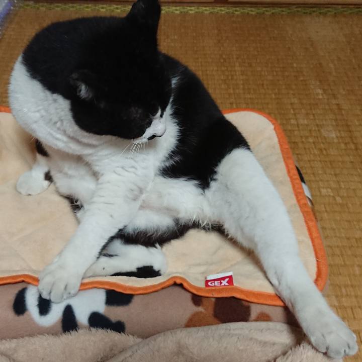 459cdc54 43e9 490e a340 0bfc88cfcf4b 1605617329107