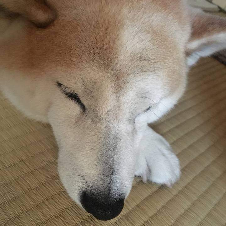 459ce9c6 831d 4b35 bb78 02acf6b4ac04 1532156897182