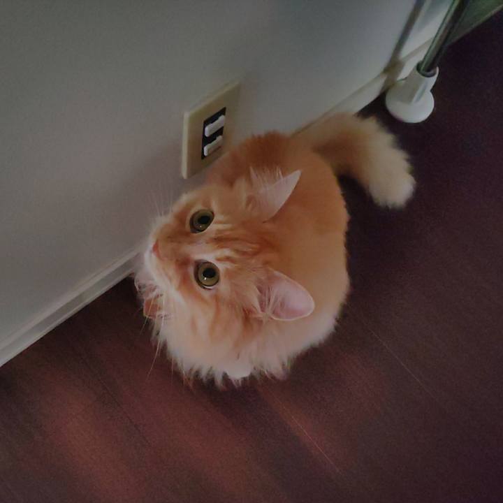 459cfc0f 17c9 43d1 9190 986b98953c0d 1722491679176