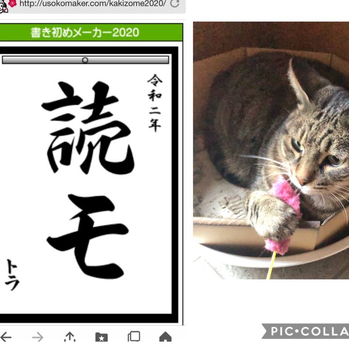 459d01dd 958d 4a6a b9f0 0fe5321666de 1577973971468