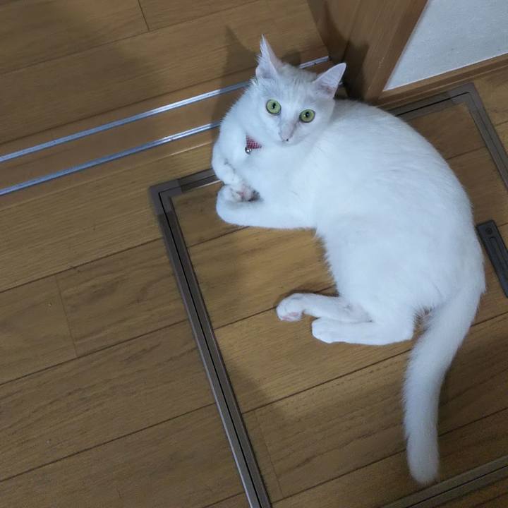 459d0682 4d9b 4dc9 be11 f11ac26abcad 1630016870952