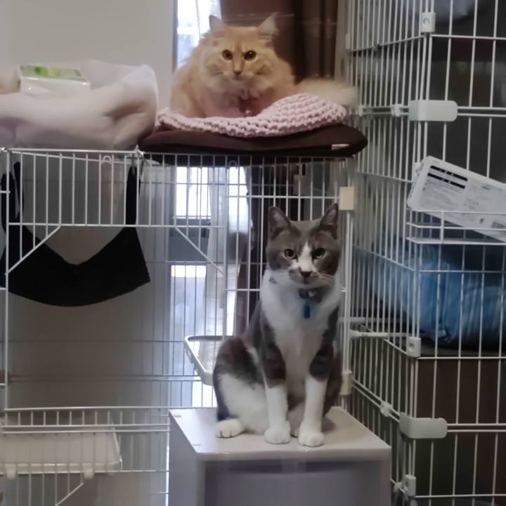 459d4124 7583 41ee 8da1 20e4528ebf07 1664938788345