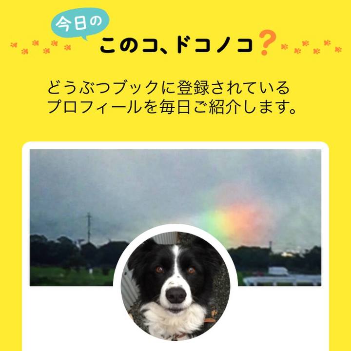 459d6926 6927 4aba 9b25 b5b68f53d29a 1527559621860