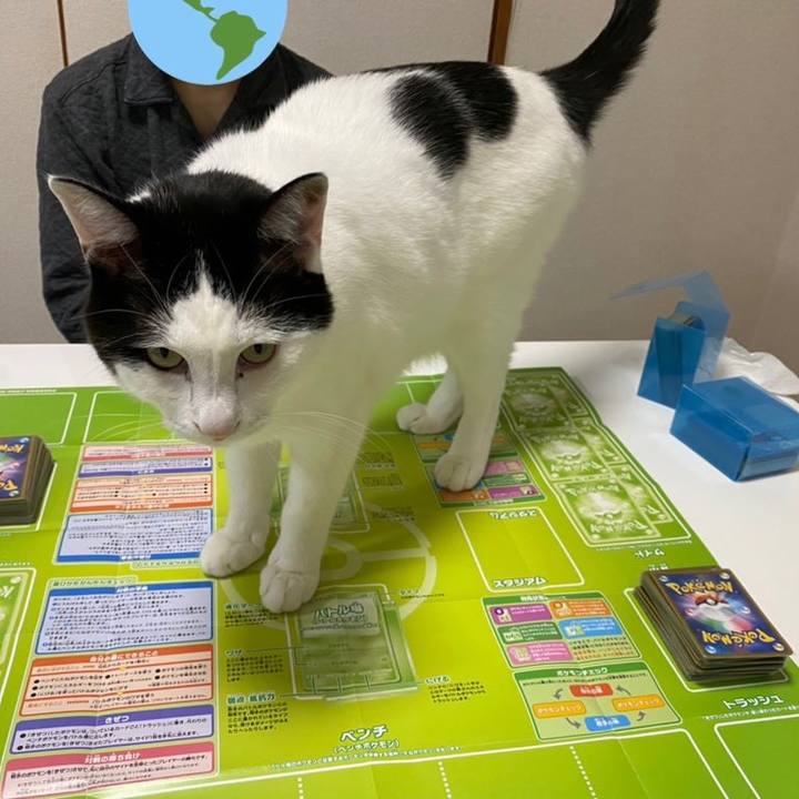 459d8d83 be5a 4859 8c9f 6d5b2d8044e7 1610702502514