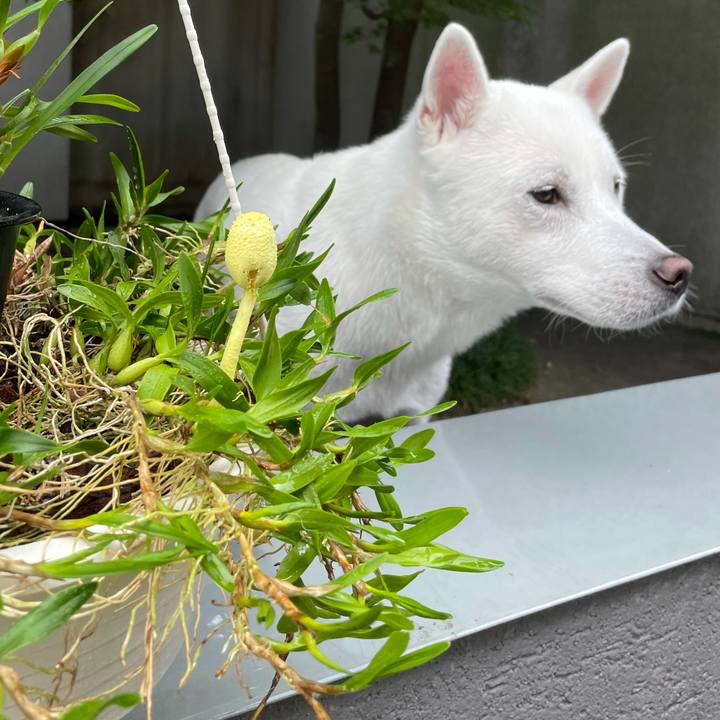 459da8a6 d9c0 43d4 97df 6429025453e8 1631678196794