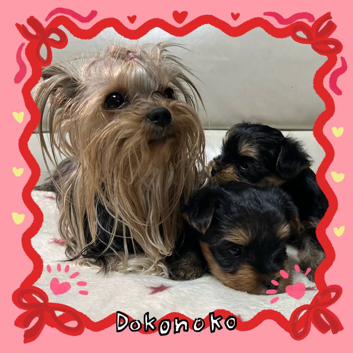 459db47a af2e 4f1e bcaf 5cda381631f5 1706874081418