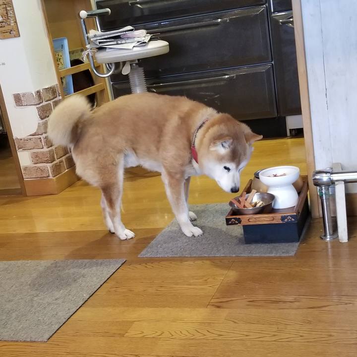 459dd11a 88bf 42bb a74e 4a016db10cfb 1740093495005