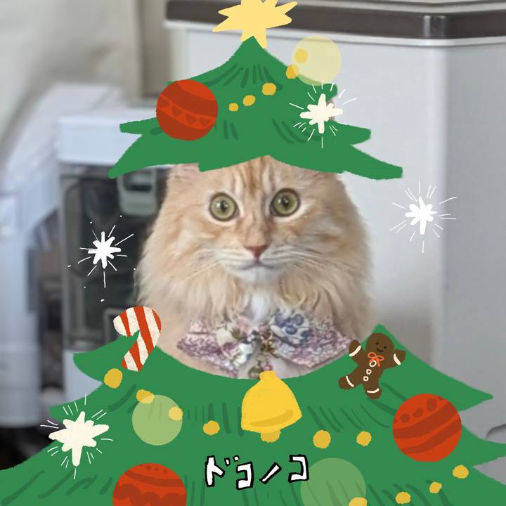 459e47c3 cd68 4ec9 a540 59cb52838dbe 1761355166056