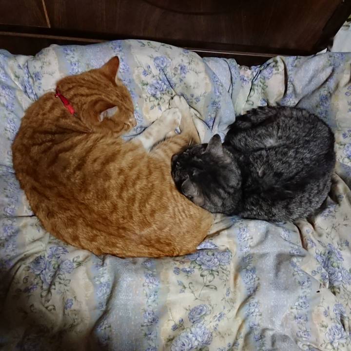 459e6397 ca58 4714 b3a7 022fd3e73fcf 1578574815520