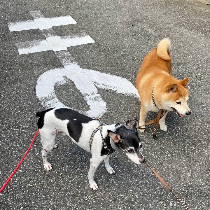 459e9117 763f 4fe1 aa9b 8bb45b85cd53 1630111399115