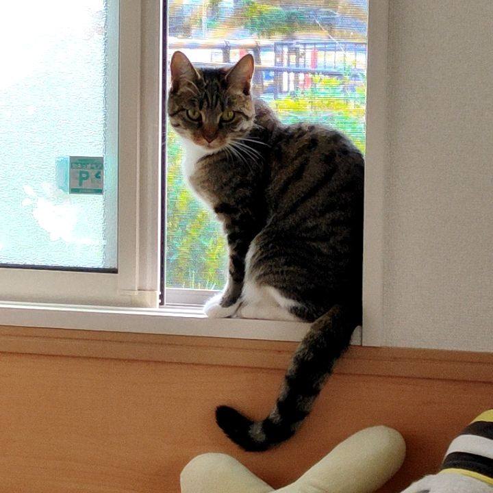 459e9c5d b370 4baf 8beb 25b1bb6a47b8 1682986949028