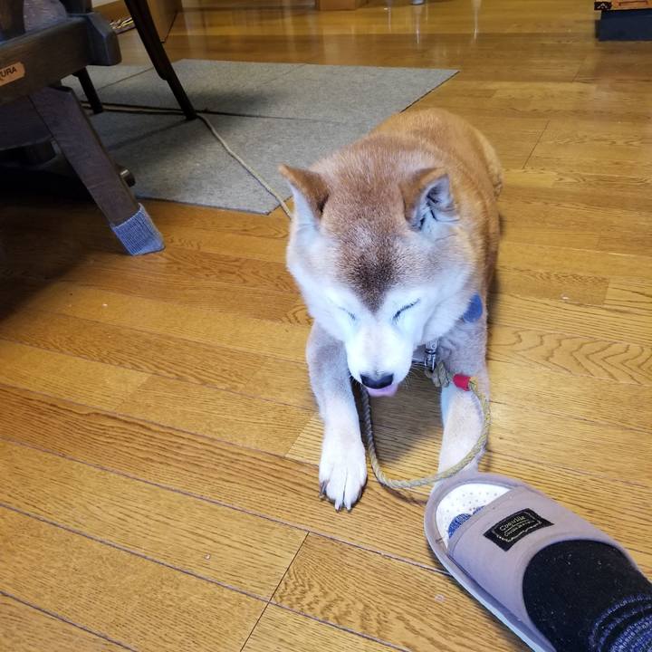 459ee1f3 77ef 439b a34c 8129cf7954c1 1733876423846