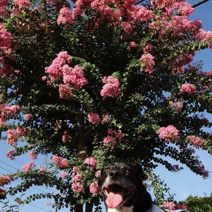 459eeceb 3f15 48ed b1a3 e072e0c2da6a 1722385901366