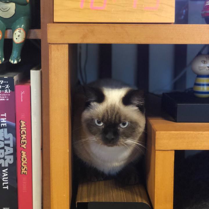 459f6a9d 5943 449b ae2d 04b51314e10f 1601992473329